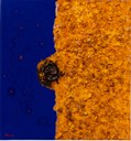 Frühform (1989)